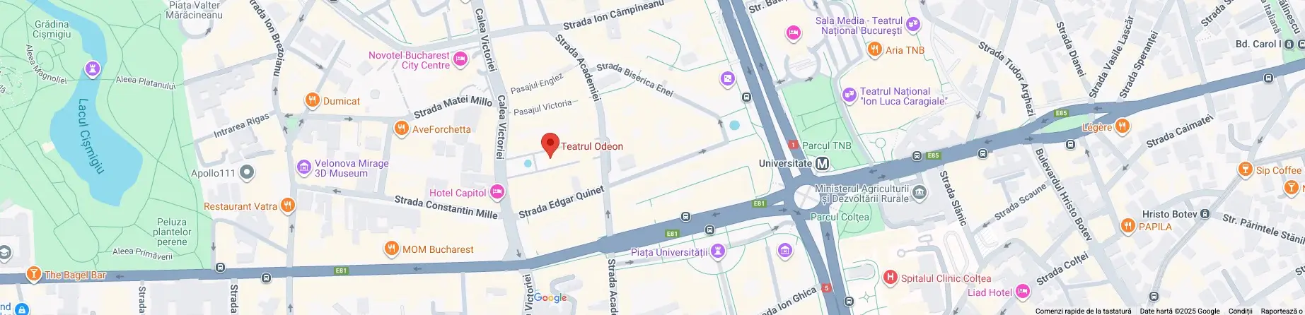 Sustenlandia CEO Forum Conference Venue - Intercontinental Athenee Palace